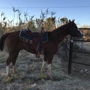 Meet your Posher, Benjamin